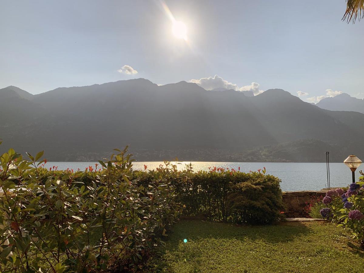 Terrace On The Lake Apartment Oliveto Lario Exterior photo